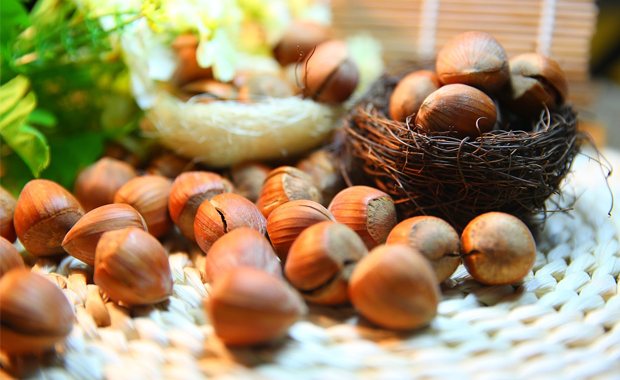 nocciole in tavolo